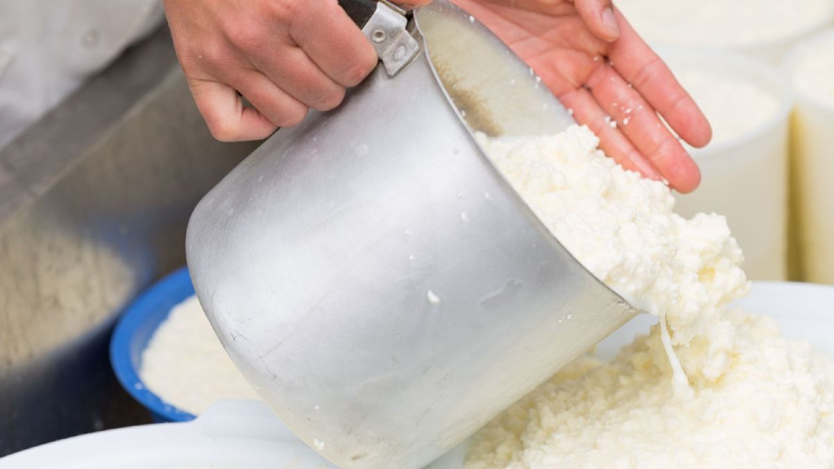Making Your Own Cheese at Home: Where to Start?